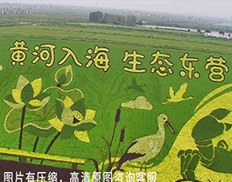 东营融媒使用开宁慢直播设备直播东营美景